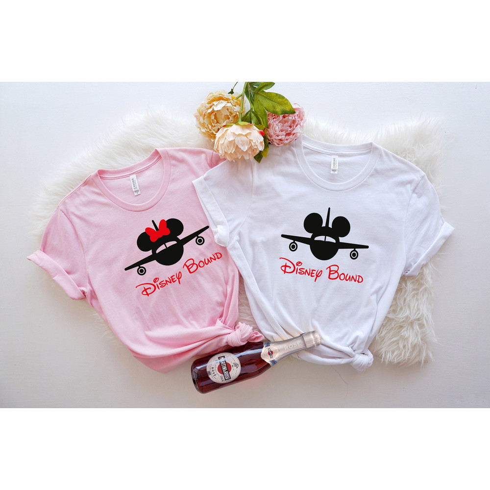 Disney Bound T-shirt, Disney Bound Shirts, Disney Bounding Tees, Disney World Shirts, Disney Family Tees, Disney Vacation Shirt, Disney Tee - 1.jpg