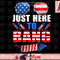 Funny 4th Of July USA Sunglasses Fireworks Bang Patriotic png, instant download.jpg
