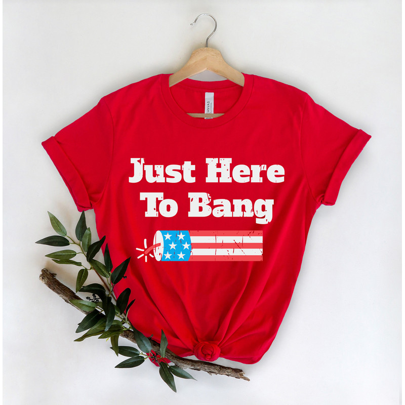 American Patriotic Party T-Shirt, Just Here To Bang T Shirt, Cute Sparkler Tee, Freedom USA Shirts, Independence T Shirt, Patriot Day Gift - 2.jpg