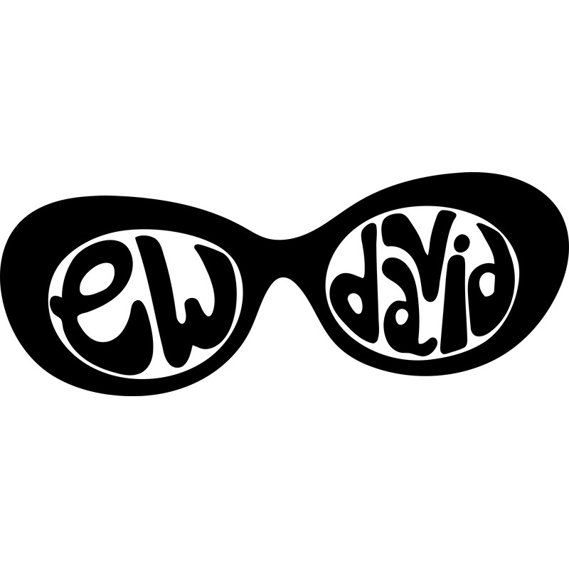 Davids Sunglasses.png