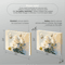 for gallery stretching roses.png