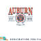 Auburn Tigers Seal Vintage Gray Officially Licensed png, digital download copy.jpg