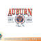 Auburn Tigers Seal Vintage Gray Officially Licensed Sweatshirt copy.jpg