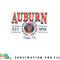 Auburn Tigers Seal Vintage Gray Officially Licensed Sweatshirt copy.jpg