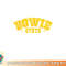 Bowie State University Vintage Apparel Gift Men Women png, digital download copy.jpg