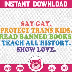 say gay protect trans kids read banned books gay pride month svg, teach all history show love lgbt svg, say gay png, dig