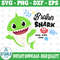 CV_HA53 BROTHER SHARK.jpg