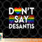 Don t Say DeSantis Florida Say Gay LGBTQ Pride Anti DeSantis png, digital download copy.jpg