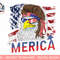 Merica Bald Eagle Mullet 4th Of July American Flag Patriotic png, sublimation.jpg