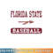 Florida State Seminoles Baseball Logo Officially Licensed png, digital download copy.jpg