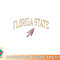 Florida State Seminoles Vintage Arrowhead png, digital download copy.jpg