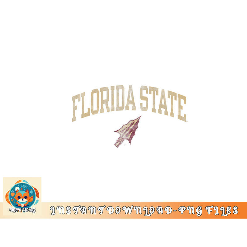 Florida State Seminoles Vintage Arrowhead png, digital download copy.jpg
