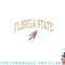Florida State Seminoles Vintage Arrowhead png, digital download copy.jpg