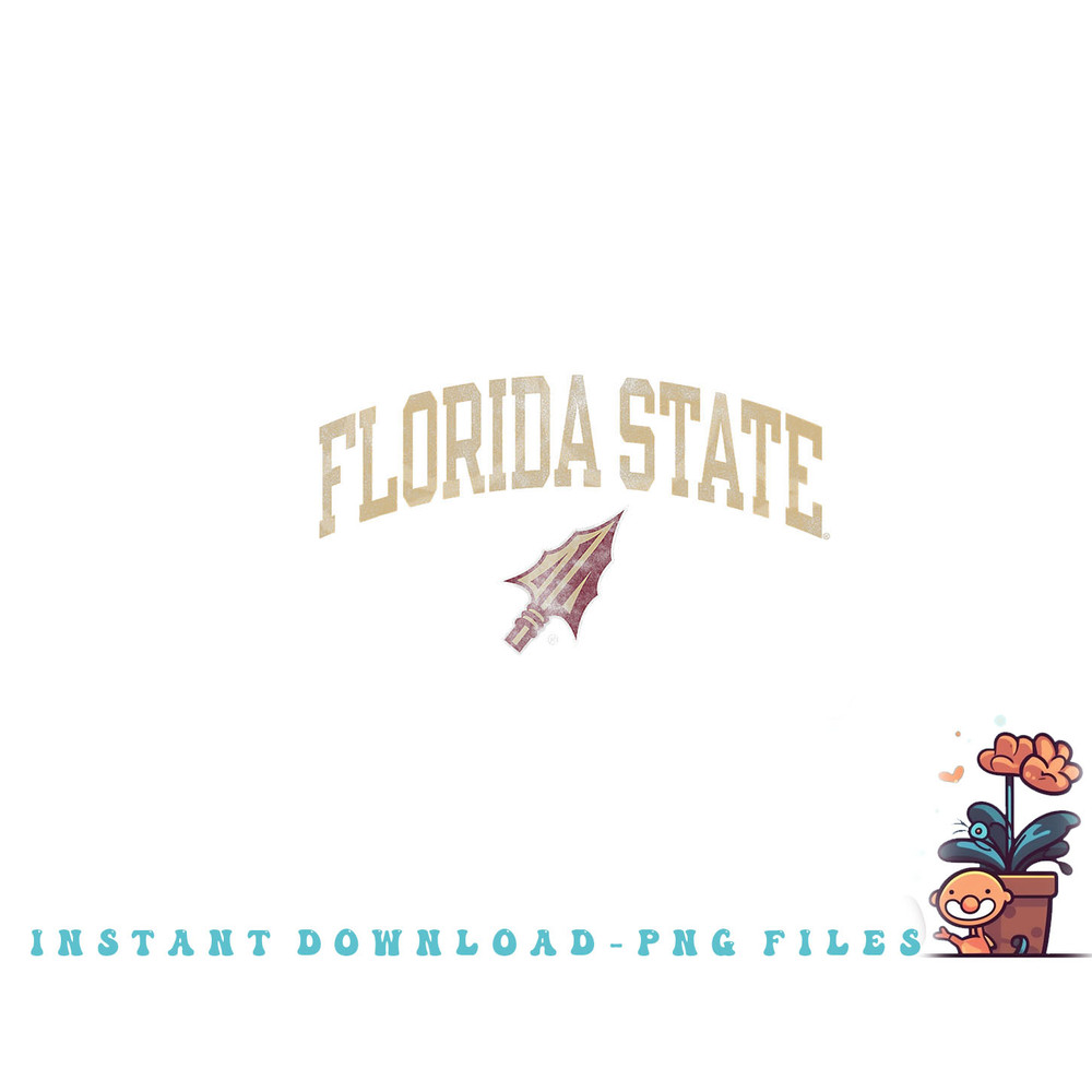 Florida State Seminoles Vintage Arrowhead png, digital download copy.jpg