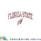Florida State Seminoles Vintage Arrowhead White png, digital download copy.jpg