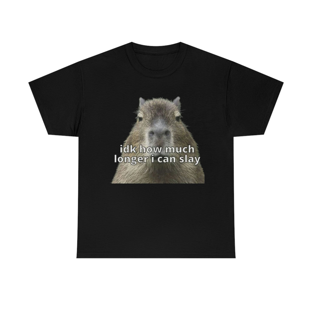 Idk How Much Longer I Can Slay Capybara Sarcastic Dank Meme Quote Funny Meme T-Shirt - 1.jpg