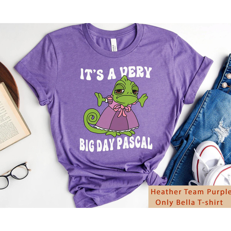 Disney Tangled Pascal It's A Very Big Day Pascal T-shirt  Funny Disney Tee  Disneyland Family Vacation Trip  Walt Disney World Tee - 5.jpg