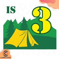 kids 3rd birthday boys camping summer 3 year old s