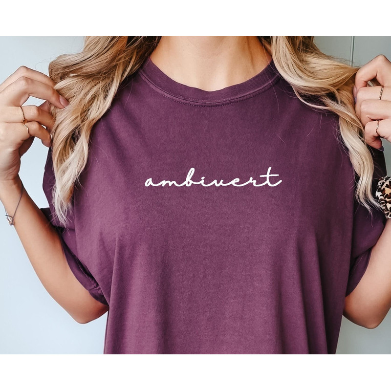 EMBROIDERED ambivert shirt, comfort colors shirt, embroidered t-shirt, embroidered tee, ambivert, introvert, extrovert, embroidery - 1.jpg