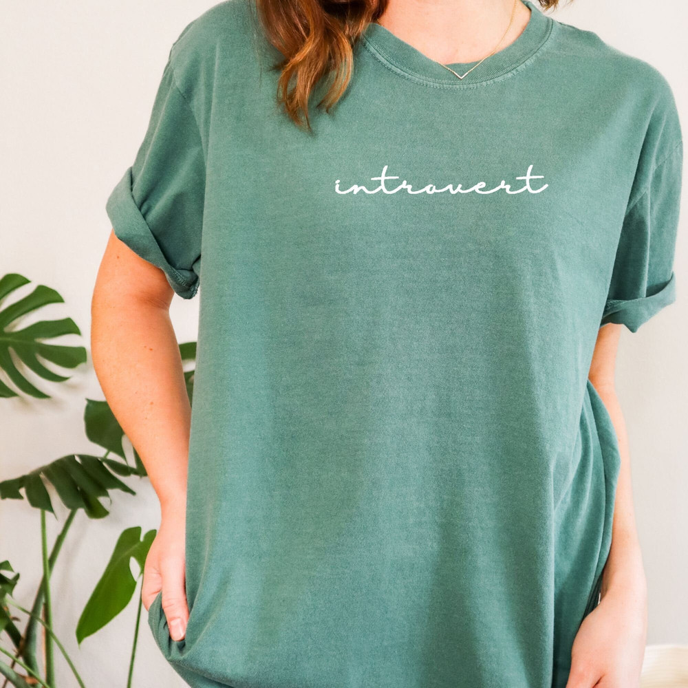 EMBROIDERED introvert shirt, comfort colors shirt, introvert, embroidered t-shirt, embroidered tee, embrodiered tshirt, gift for her - 2.jpg
