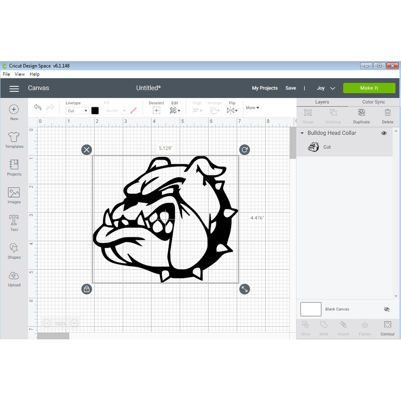 Bulldog Head Collar.png