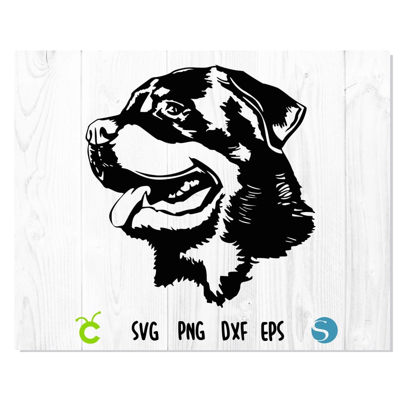 Dog Rottweiler Head 1.jpg