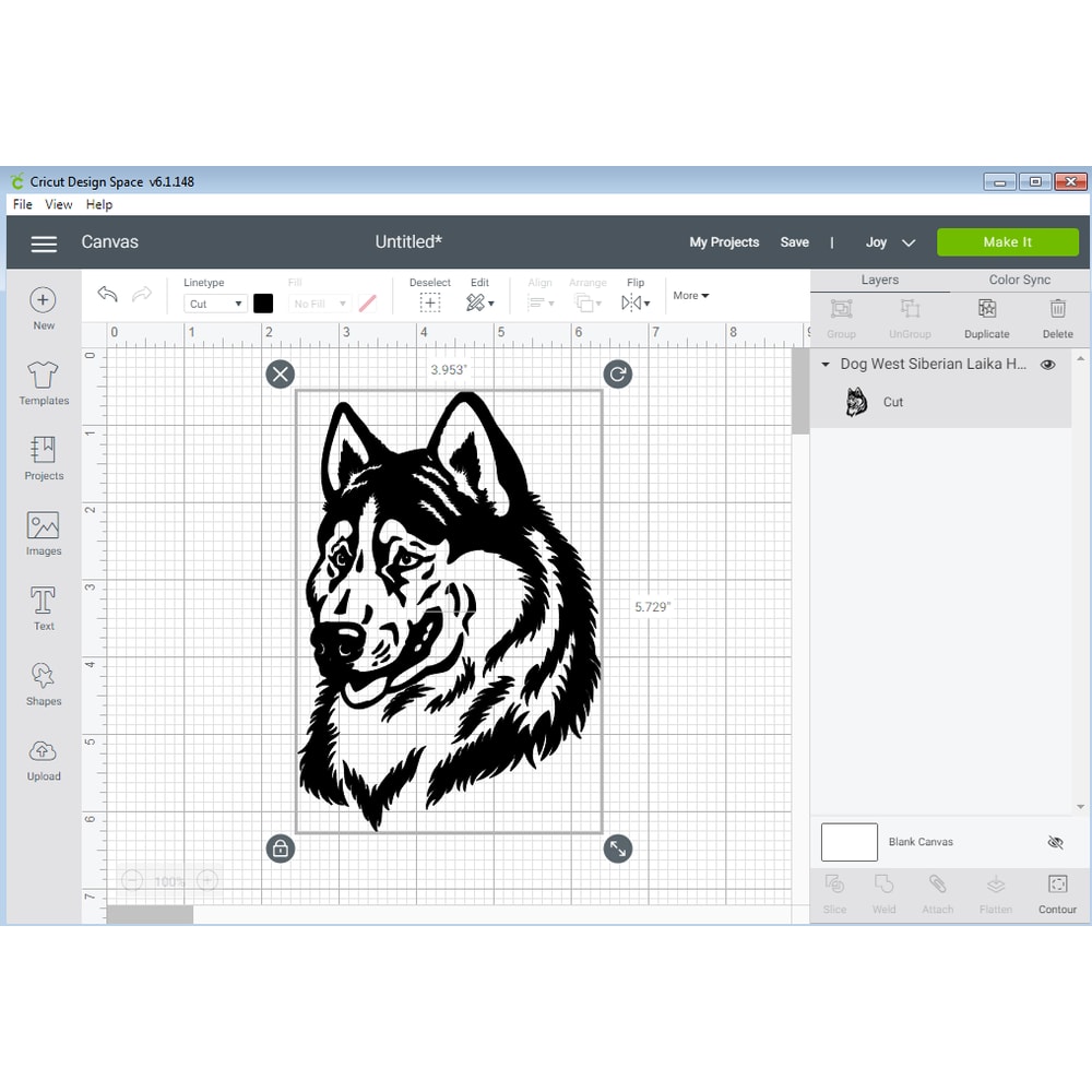 Dog West Siberian Laika Head.png