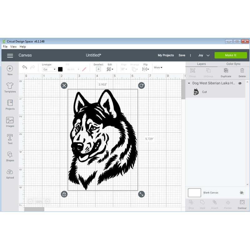 Dog West Siberian Laika Head.png