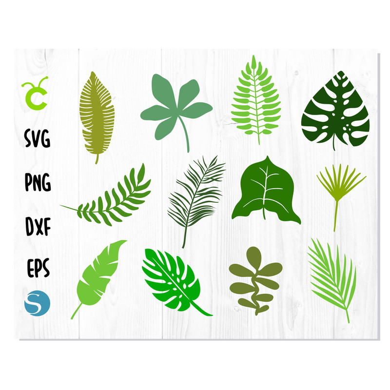 Jungle Leaves Tropical 1.jpg