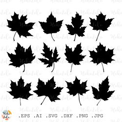 Maple Svg, Maple Leaves Silhouette, Maple Cricut, Maple Stencil Svg, Maple Template Dxf, Clipart Png
