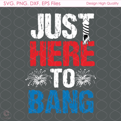 just here to bang svg, 4th of july svg, fireworks svg, terry svg, america svg, f