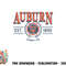 Auburn Tigers Seal Vintage Gray Officially Licensed png, digital download copy.jpg
