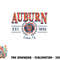 Auburn Tigers Seal Vintage Gray Officially Licensed Sweatshirt copy.jpg