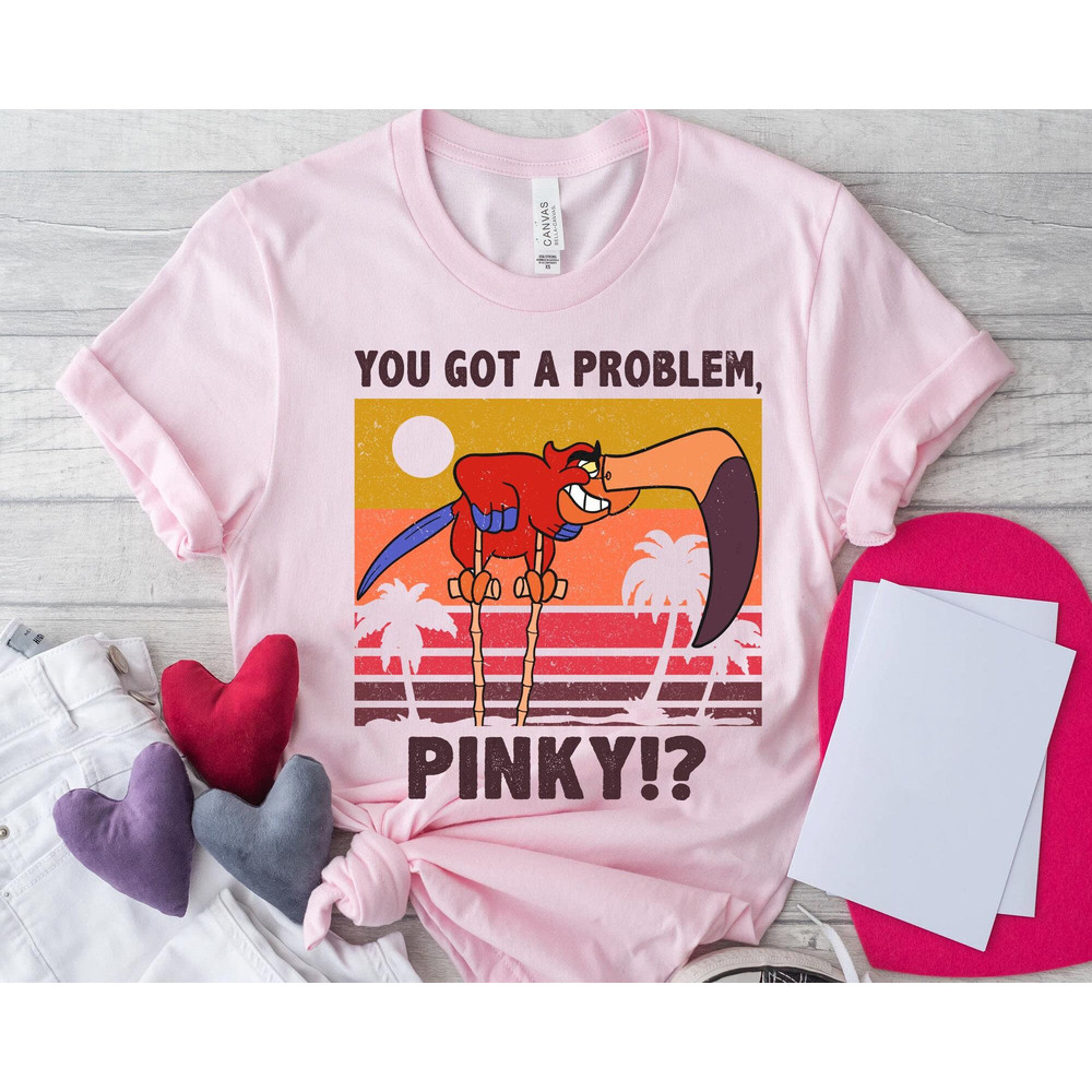 Retro Iago You Got A Problem Pinky Shirt Disney Aladdin T-shirt Walt Disney World Tee Disneyland Family Vacation Trip Magic Kingdom - 2.jpg