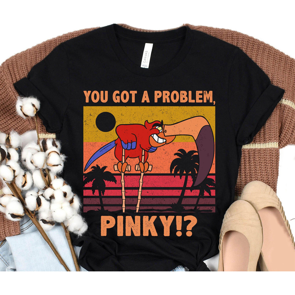 Retro Iago You Got A Problem Pinky Shirt Disney Aladdin T-shirt Walt Disney World Tee Disneyland Family Vacation Trip Magic Kingdom - 4.jpg