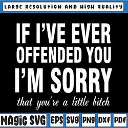 if i've ever offended you i'm sorry svg, you're such a little bitch svg, png, cut file, sublimation file