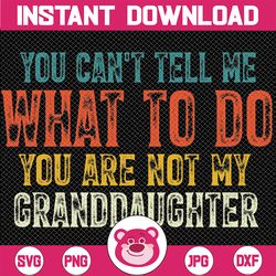 you can't tell me what to do you are not my granddaughter svg, vintage funny grandpa svg, retro dad svg, father's day