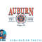 Auburn Tigers Seal Vintage Gray Officially Licensed png, digital download copy.jpg