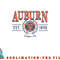 Auburn Tigers Seal Vintage Gray Officially Licensed png, digital download copy.jpg