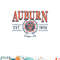Auburn Tigers Seal Vintage Gray Officially Licensed png, digital download copy.jpg
