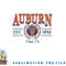 Auburn Tigers Seal Vintage Gray Officially Licensed Sweatshirt copy.jpg