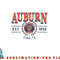 Auburn Tigers Seal Vintage Gray Officially Licensed Sweatshirt copy.jpg