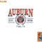 Auburn Tigers Seal Vintage Gray Officially Licensed Sweatshirt copy.jpg