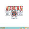 Auburn Tigers Seal Vintage Gray Officially Licensed Sweatshirt copy.jpg