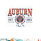 Auburn Tigers Seal Vintage Gray Officially Licensed Sweatshirt copy.jpg