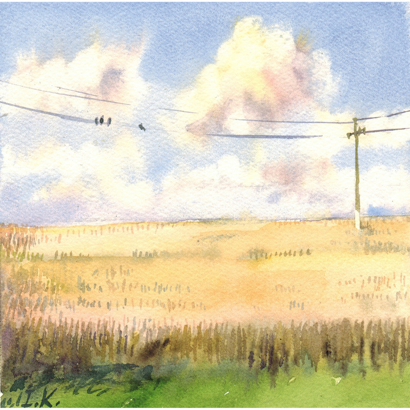 Wheat field.jpg