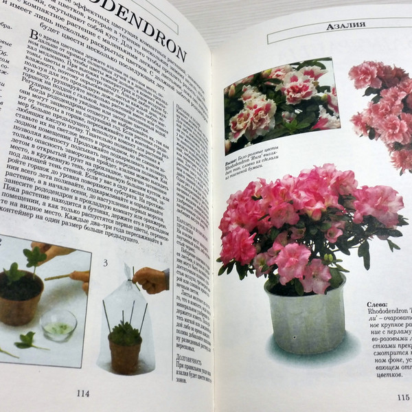 home-flower-books.jpg
