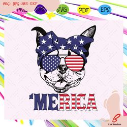 pitbull american flag, pitbull lover,animal america