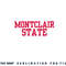 Montclair State University Pullover Hoodie copy.jpg