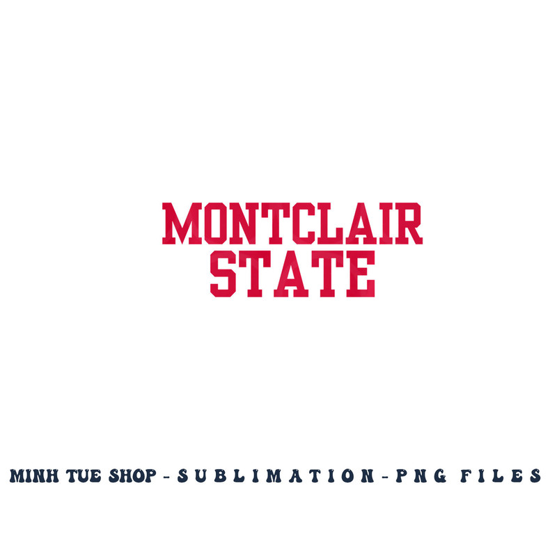 Montclair State University Pullover Hoodie copy.jpg